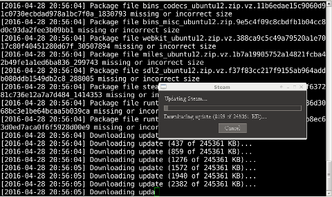 Screen shot of Steam update process